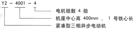 YR系列(H355-1000)高压YJTGKK6302-6三相异步电机西安西玛电机型号说明